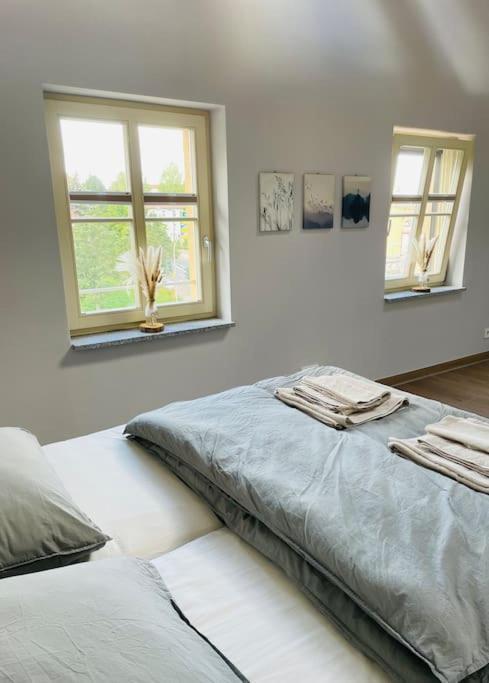 Traumvilla Im Herzen Hainichens المظهر الخارجي الصورة